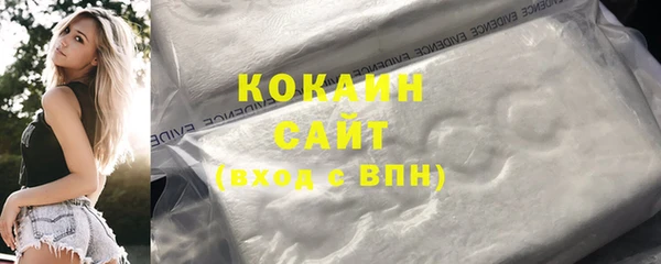 хмурый Нея