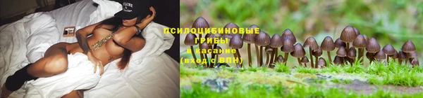 тгк Алексеевка