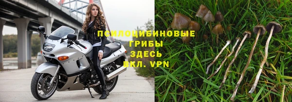 Альфа ПВП Нефтекумск