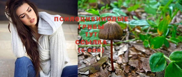 молекула духа Нефтегорск
