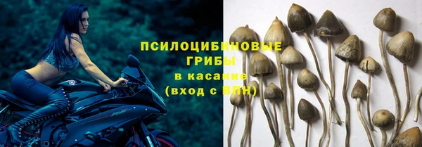 тгк Алексеевка