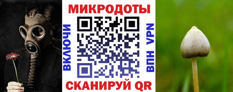 Галлюциногенные грибы Psilocybe  Велиж 